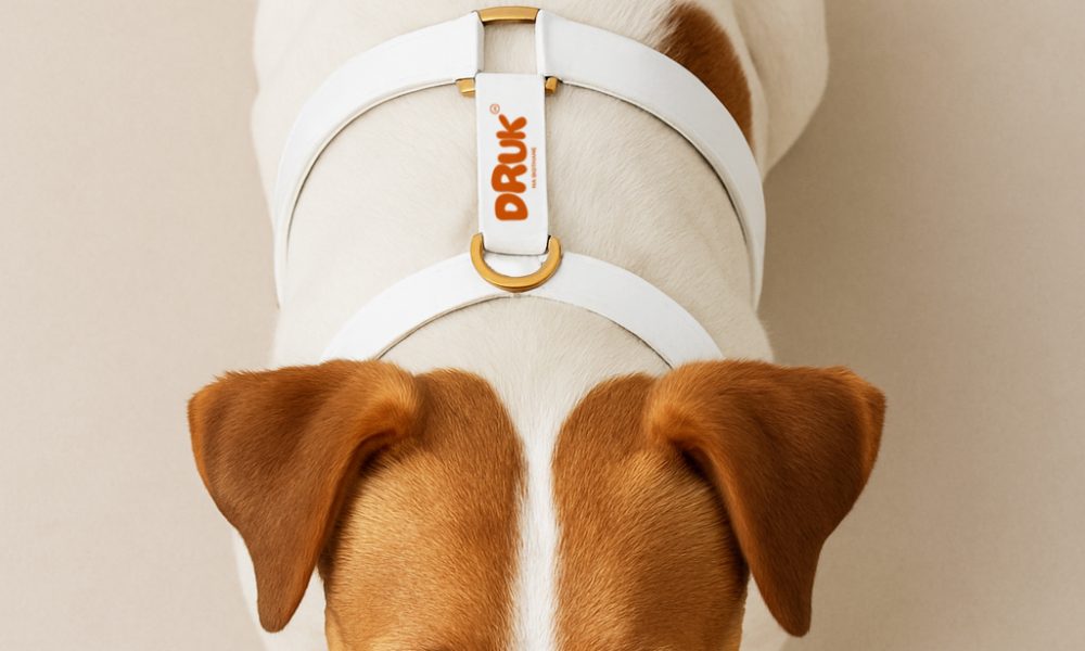 nadruk na psich szelkach biothane 1