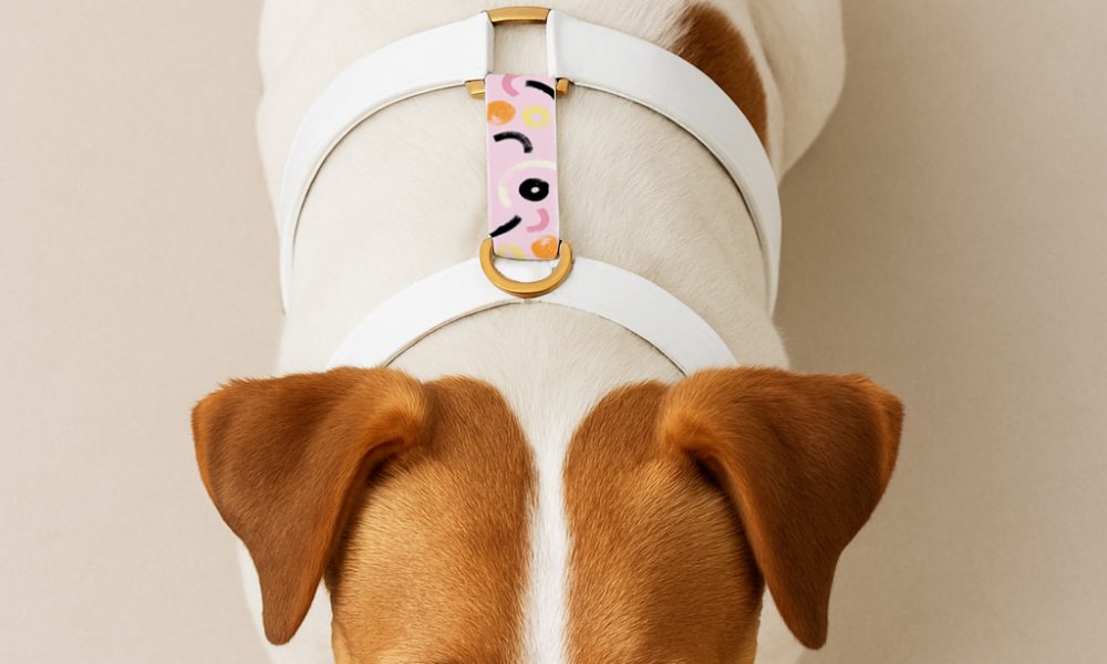 nadruk na psich szelkach biothane 5